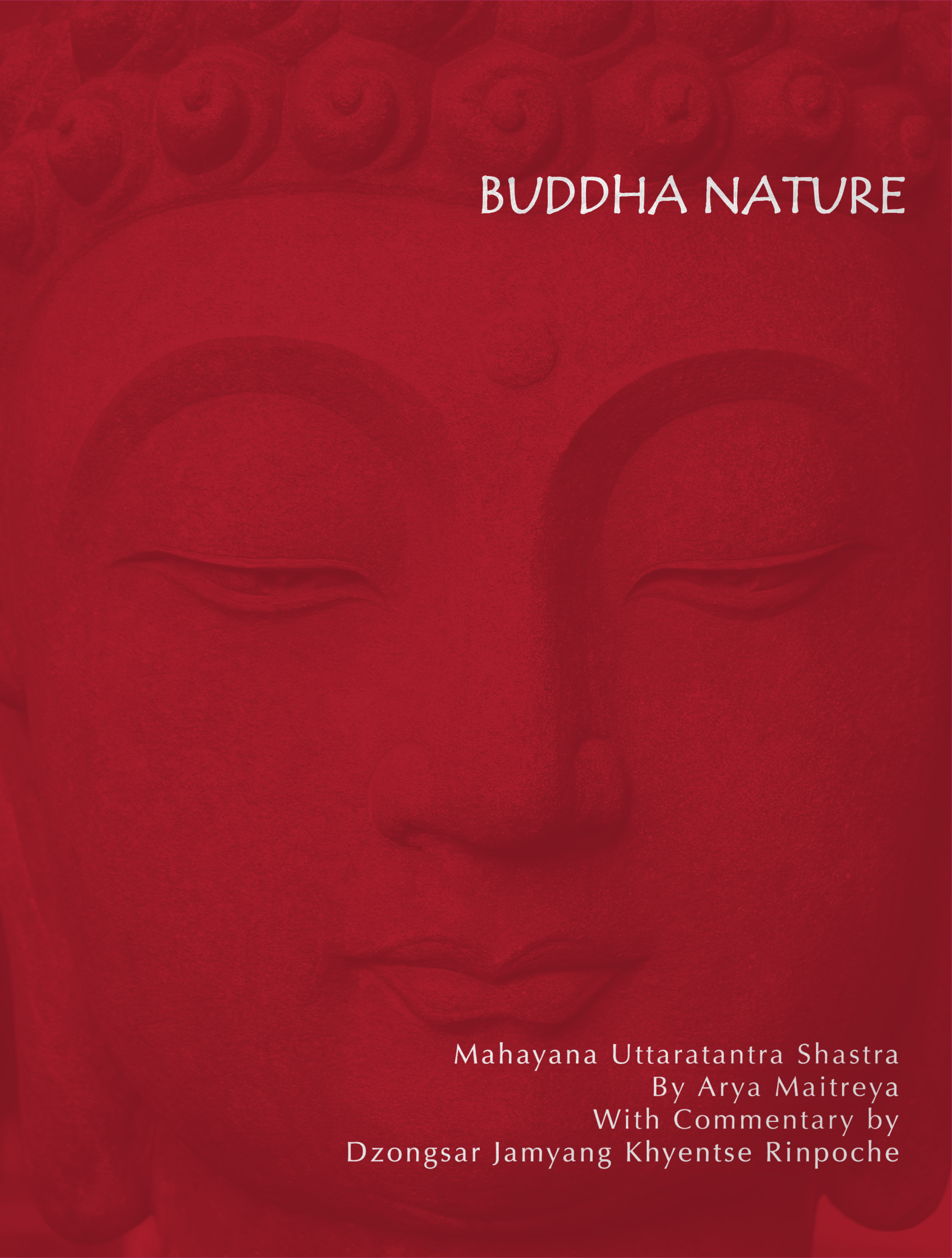 Red book cover with Buddha's face and the title of the book in the top right corner.