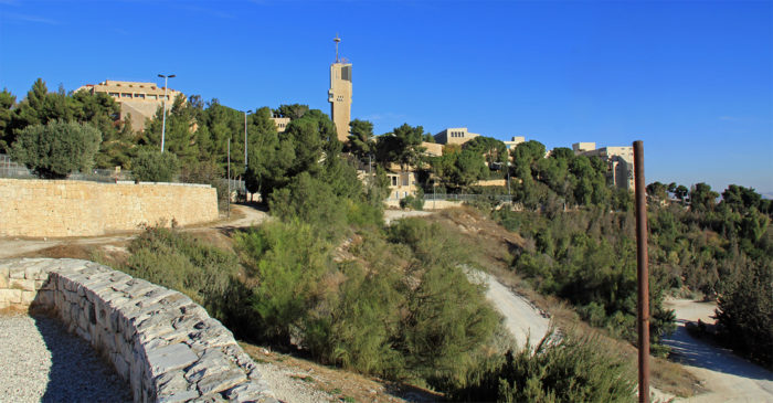 Many light brown buildings with a modern tower in the centre, a green lawn in front of it and a blue sky behind it.