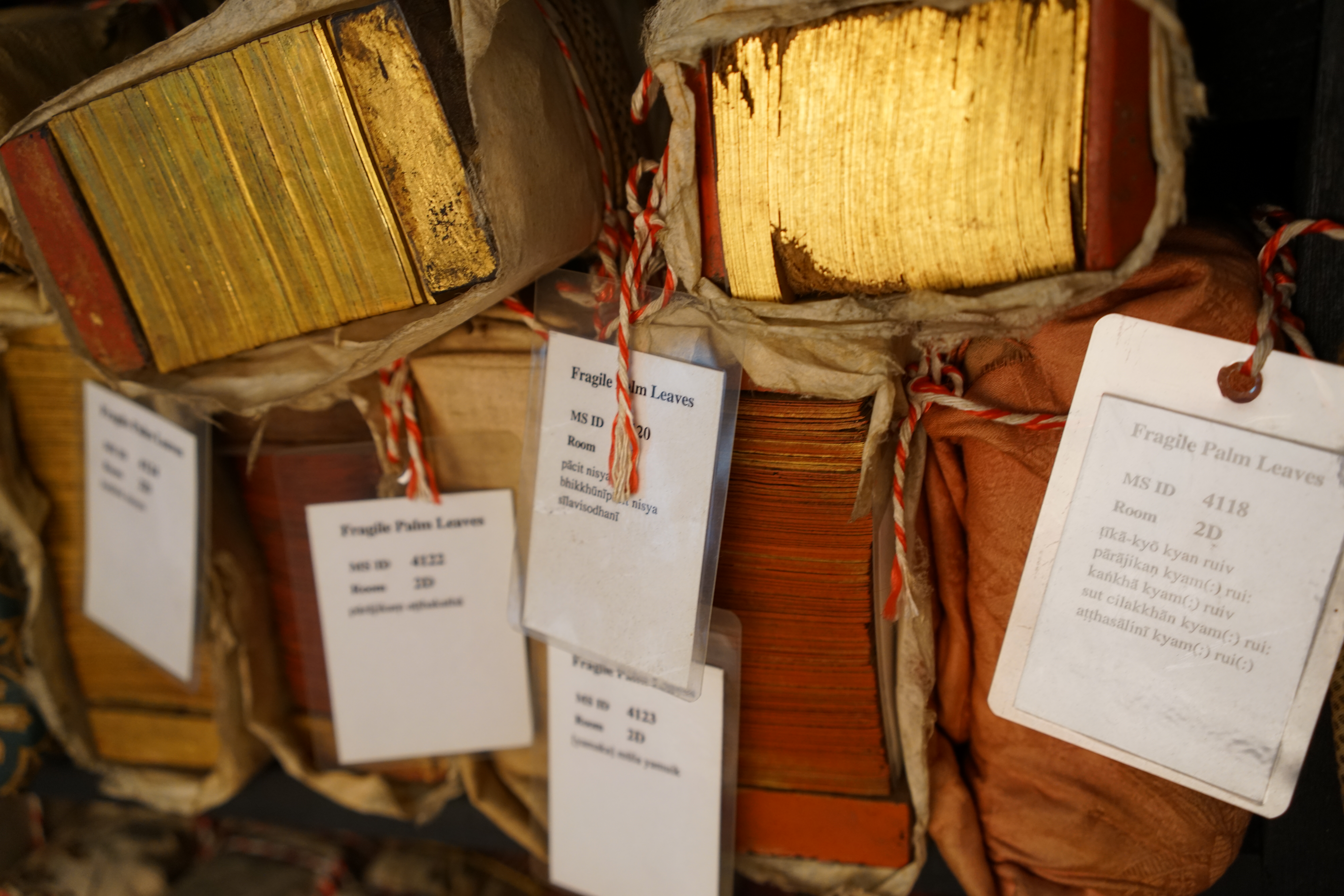 Pechas Fragile Palm Leaves